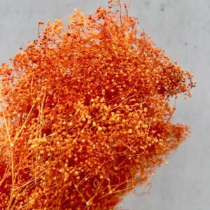 Gips mini Oranje