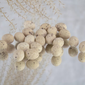 MINI eitjes Champagne (De Bock)