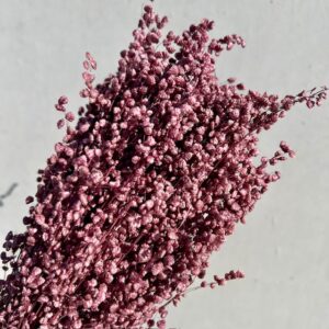 Briza minima oudroze