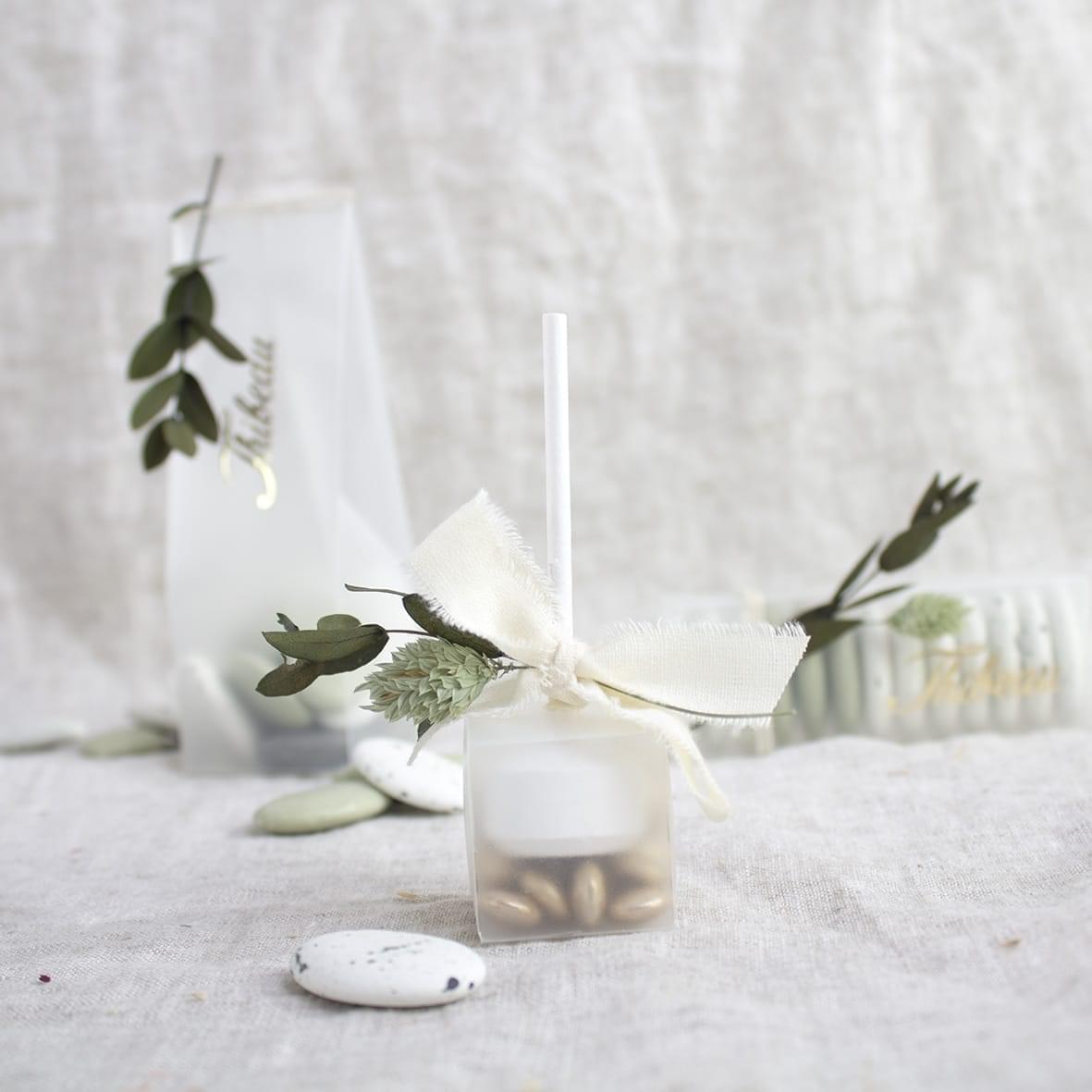 eco frost lolly