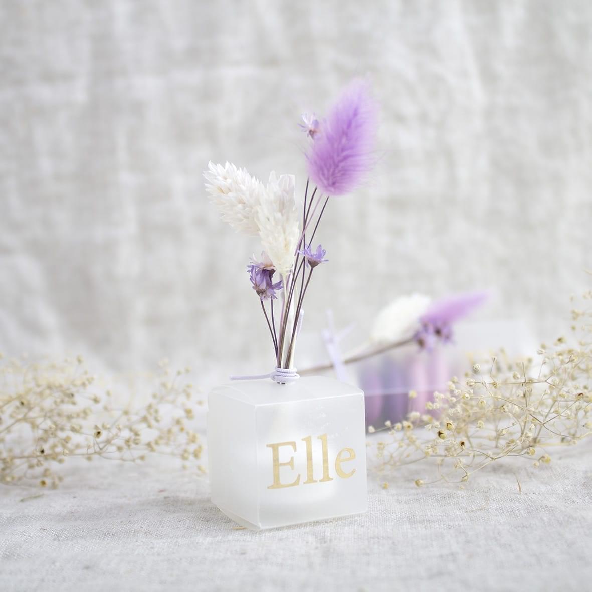 eco frost lolly