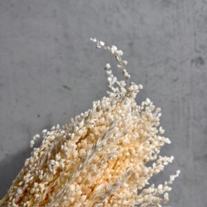 Briza Naturel Wit
