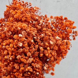 gips oranje, droogbloem, decoratie, boeket, trouw, geboorte