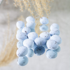 MINI eitjes Blauw (De Bock)