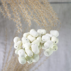 Chocolade marshmallow champagne (De Bock)
