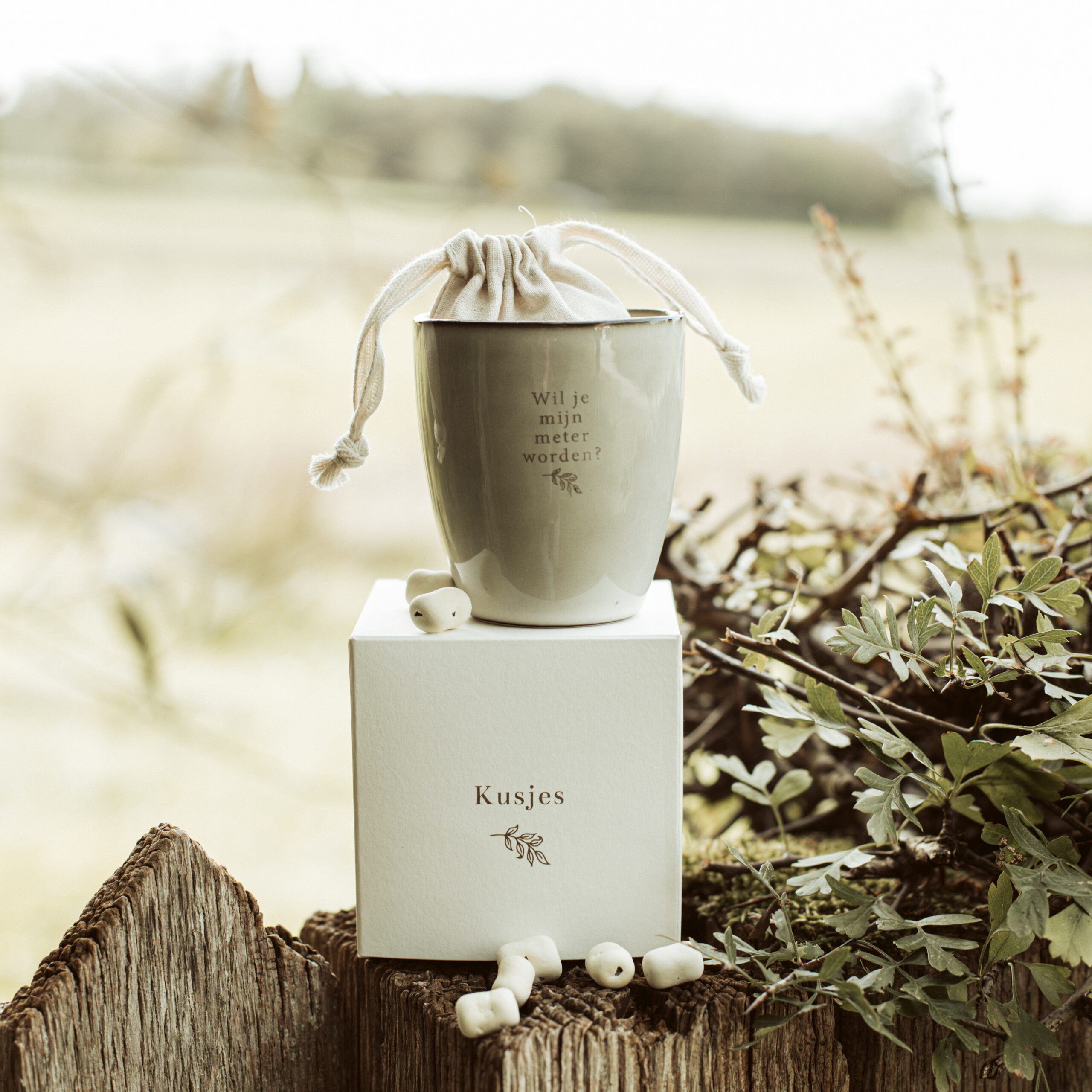 Meter / Peter mok - Afbeelding 5